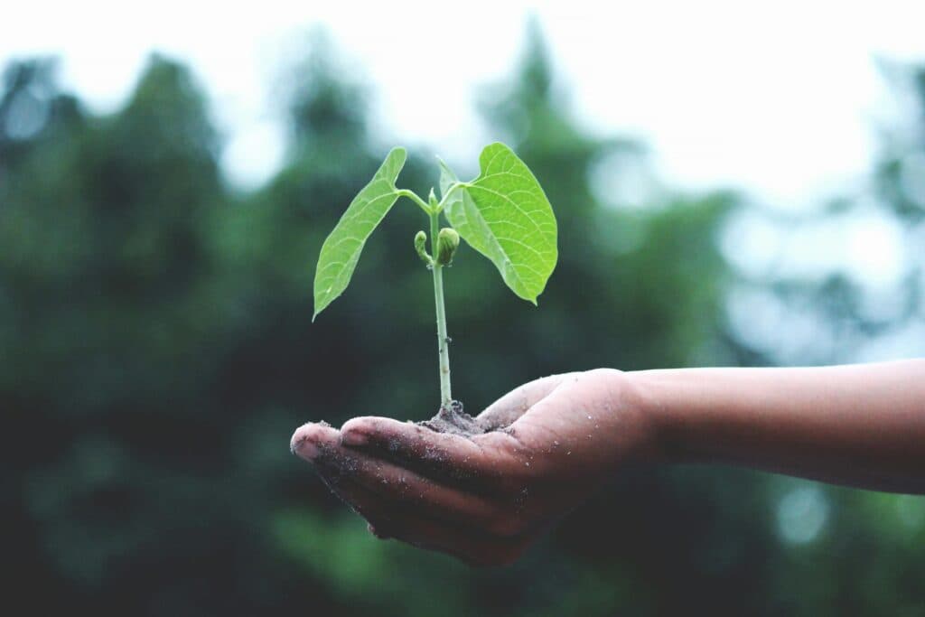 Green landscape representing sustainable impact